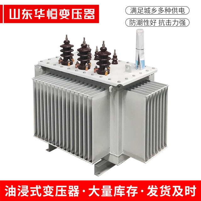 S13-10000/35永登永登永登油浸式变压器厂家